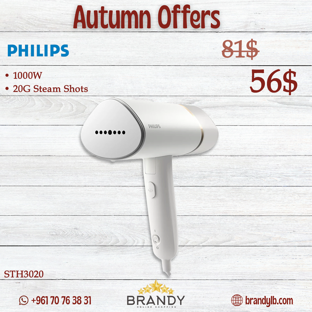 Handheld Steamer STH3020 with 1000W Power