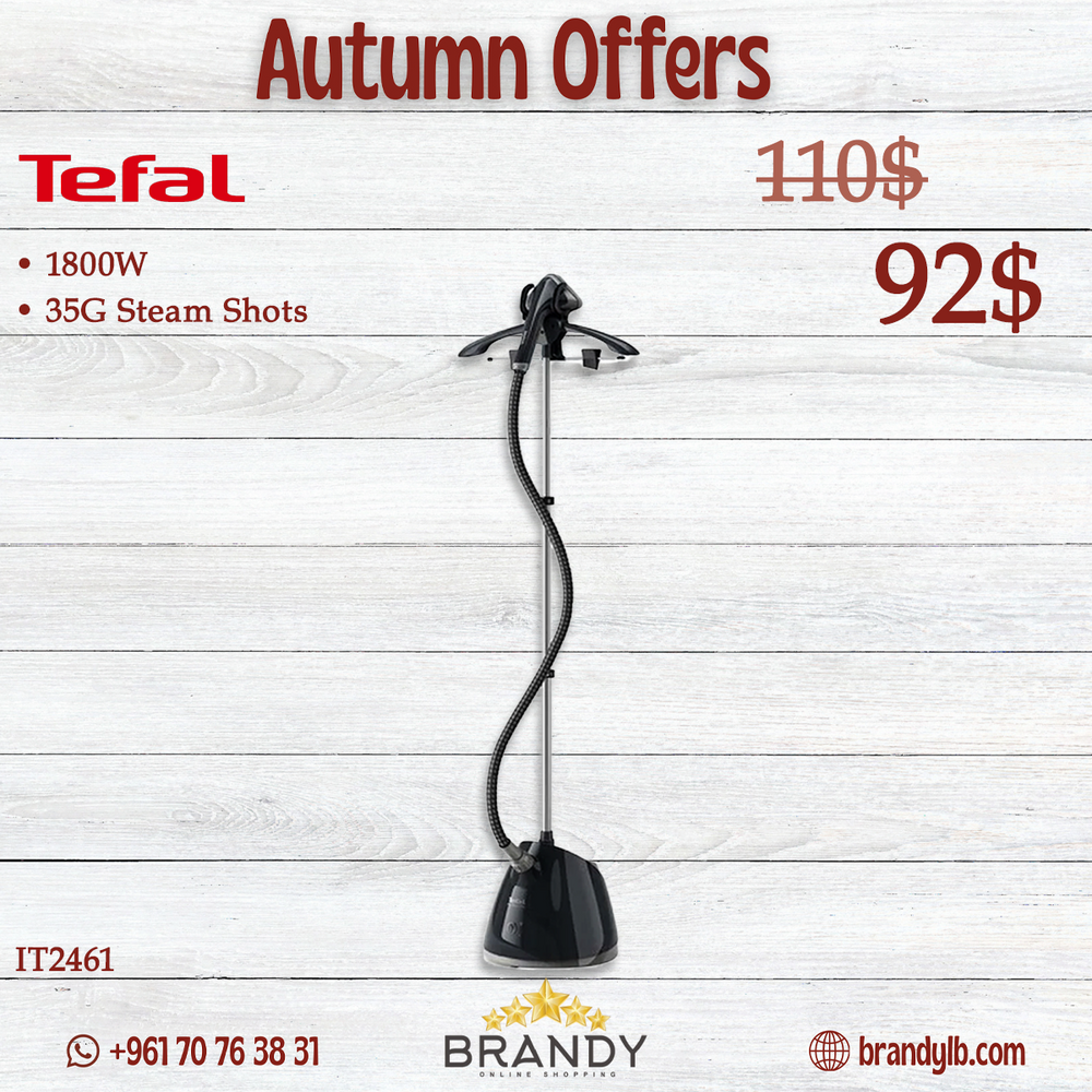 Pro Style Garment Steamer With Hanger IT2461