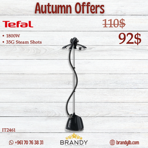 Pro Style Garment Steamer With Hanger IT2461