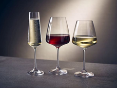 Crystal Bohemia Corvus Wine Glasses Set of 6 360 ml or 450 ml