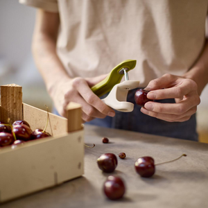 Joseph Joseph Tweezy™ 2-in-1 Olive & Cherry Pitter & Huller Tool