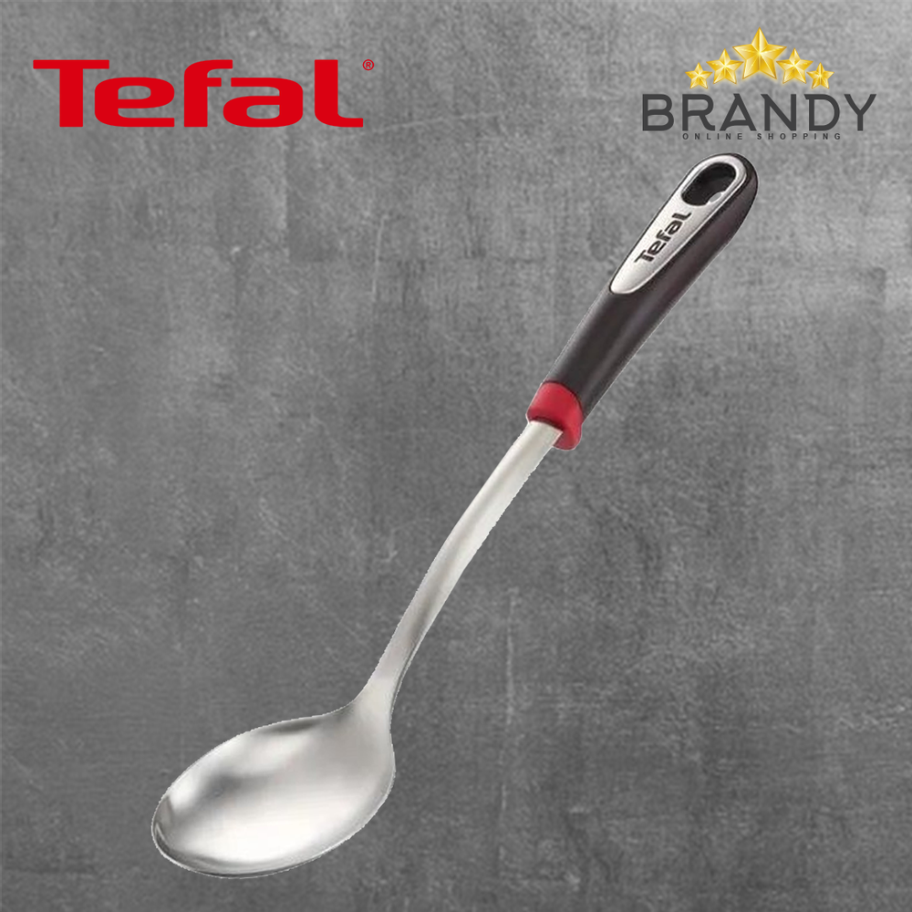 Ingenio Stainless Steel Spoon