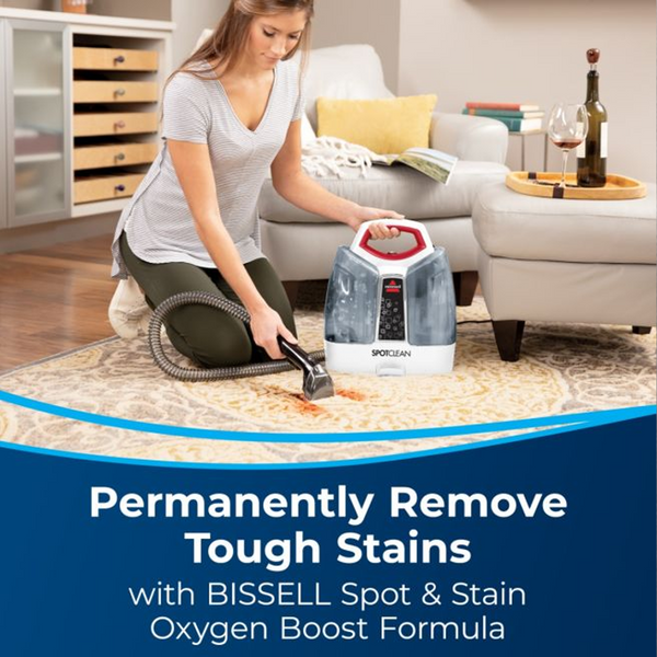 MultiClean Spot & Stain Carpet Cleaner 3698E