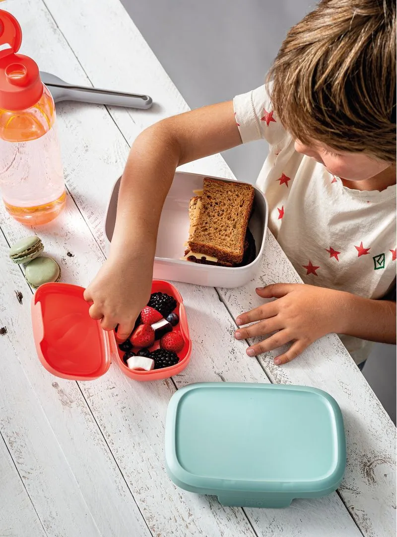 Lunch Box Set