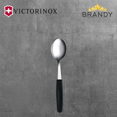 Victorinox Teaspoon Set 6 pc Stainless Steel 18/10 Polypropylene Handle
