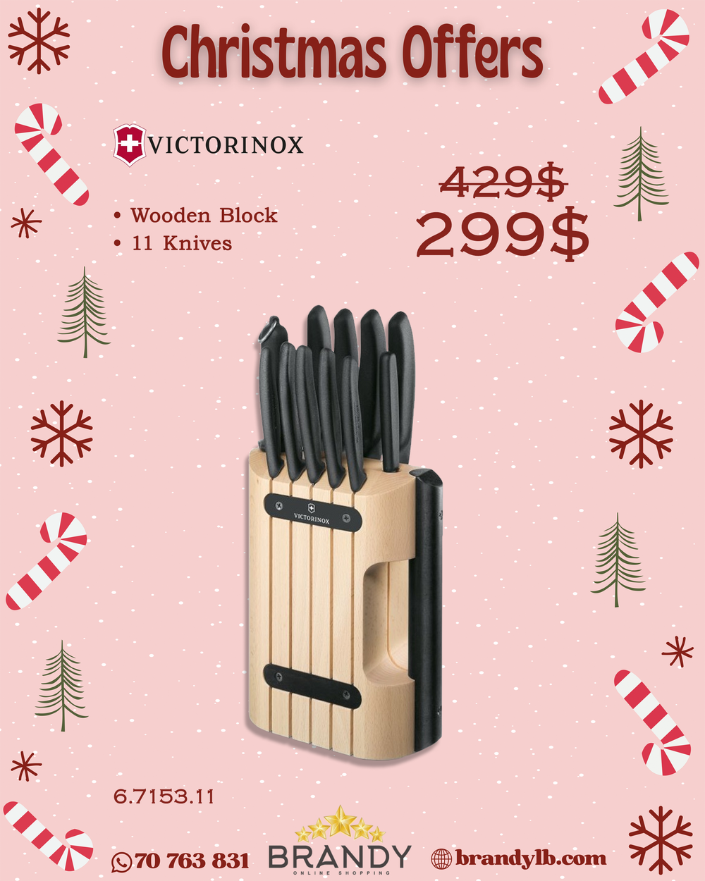 Knife Set 11pcs With Wooden Stand, Stainless Steel Blades