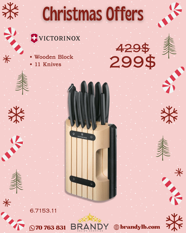 Knife Set 11pcs With Wooden Stand, Stainless Steel Blades