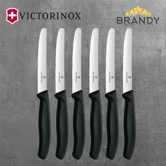 Steak Knives Set 6pcs with Stainless Steel Blades