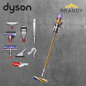 Cordless Stick Vacuum V12 Detect Slim Absolute Gold