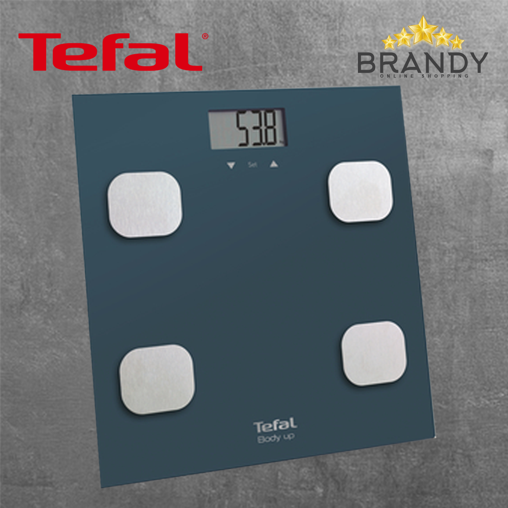Body Up Scale BM2520 with Body Fat Measurement
