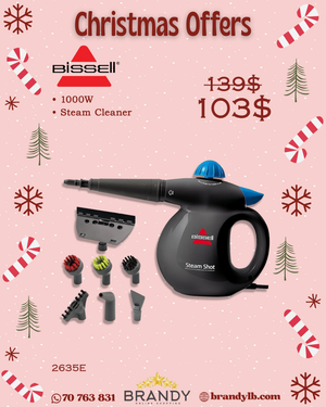 SteamShot Handheld Steam Cleaner 2635E