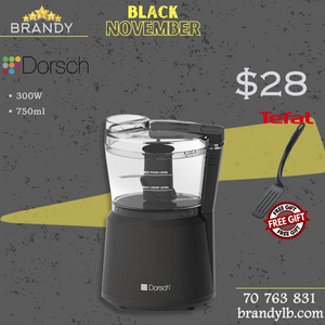 Chopper 0.75L MCP-94 with 2 Blades + Free Tefal Spatula