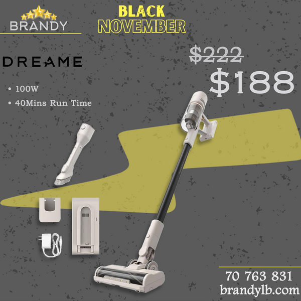 Cordless Stick Vacuum U10 with 18,000PA Suction Power