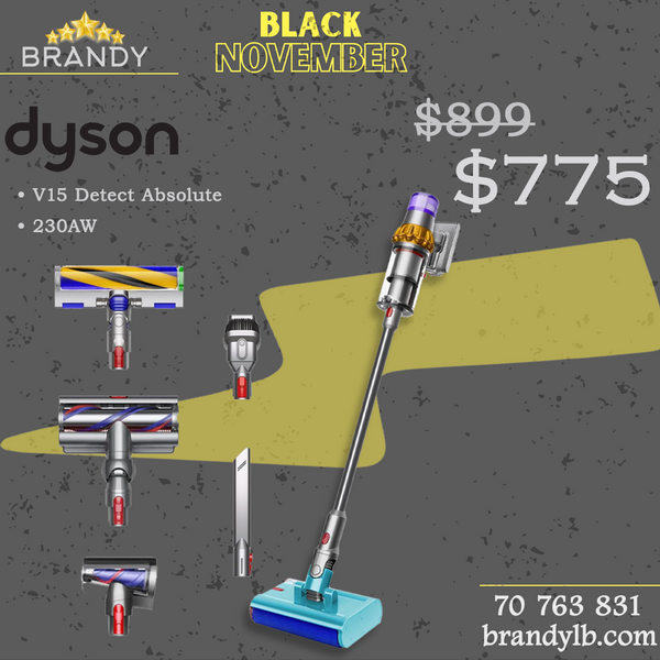Cordless Stick Vacuum V15s Detect Submarine with LCD Screen