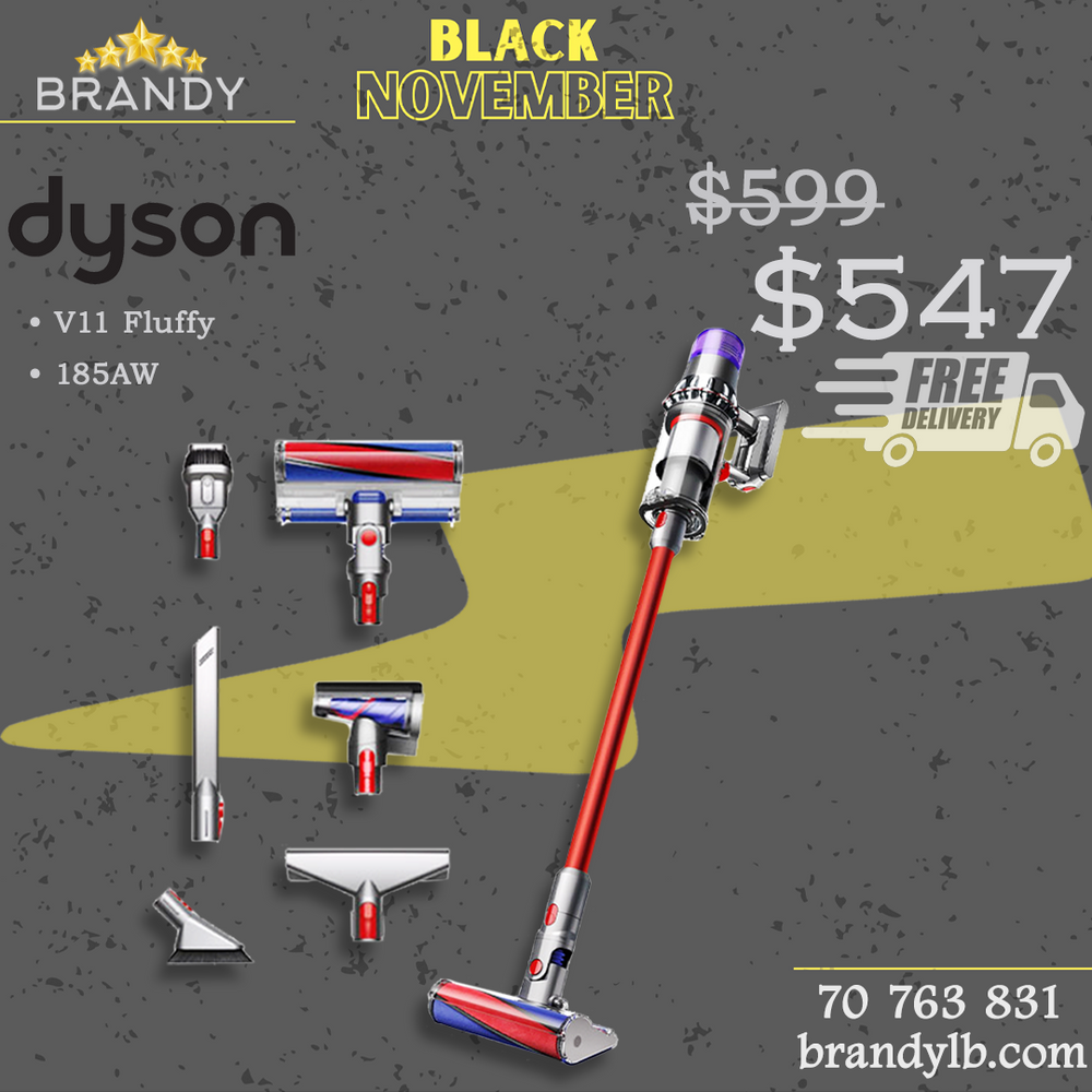 Cordless Stick Vacuum V11 Fluffy