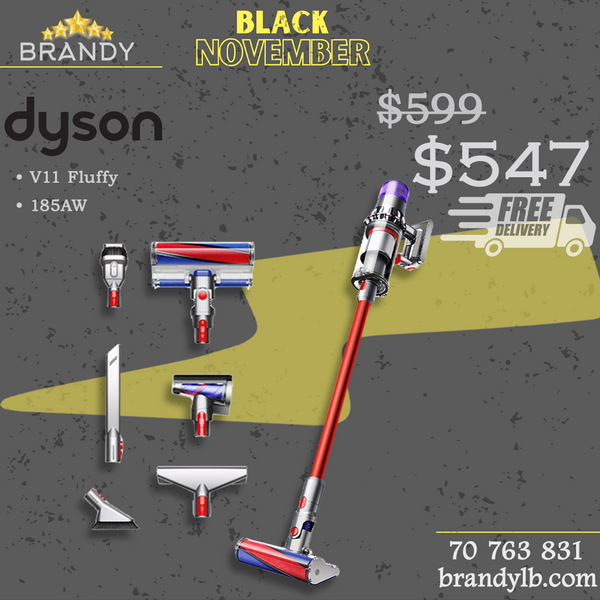 Cordless Stick Vacuum V11 Fluffy