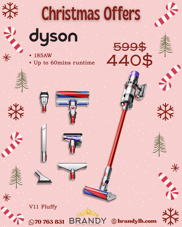 Cordless Stick Vacuum V11 Fluffy