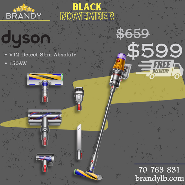 Cordless Stick Vacuum V12 Detect Slim Absolute Silver