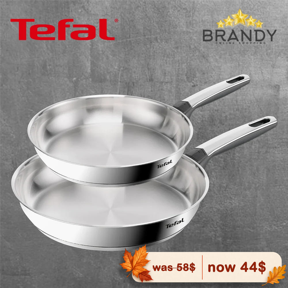 Tefal Emotion+ Stainless Steel Frypans Set 24 & 28 cm