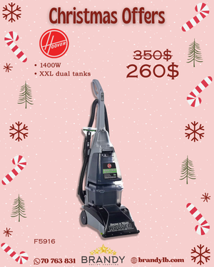 Brush & Wash Carpet And Hard Floor Washer F5916