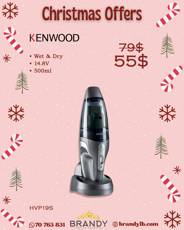 Hand Vacuum Silver HVP19 with Wet & Dry Function