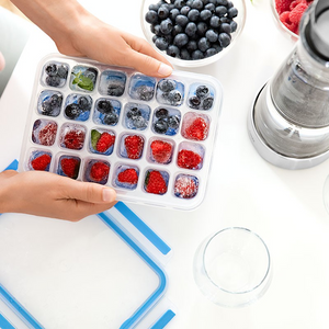 Tefal MasterSeal Fresh Ice Box Ice Tray 24 Cubes Transparent Blue