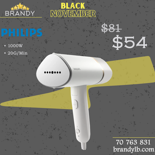 Handheld Steamer STH3020 with 1000W Power