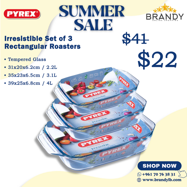 Irresistible Set of 3 Rectangular Roasters