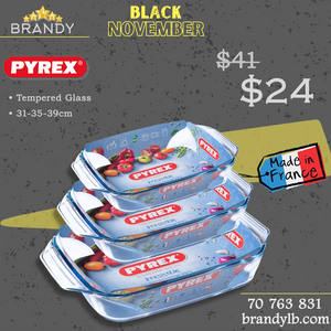 Irresistible Set of 3 Rectangular Roasters