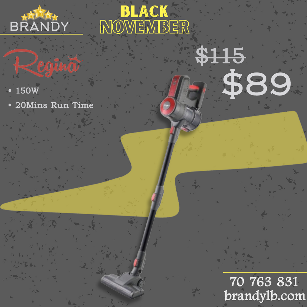 Cordless Stick Vacuum Cleaner REG-1200