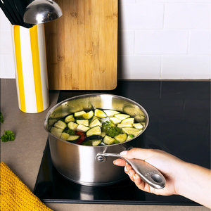 Pyrex Stainless Steel Saucepan with Lid 20 cm SR20APX