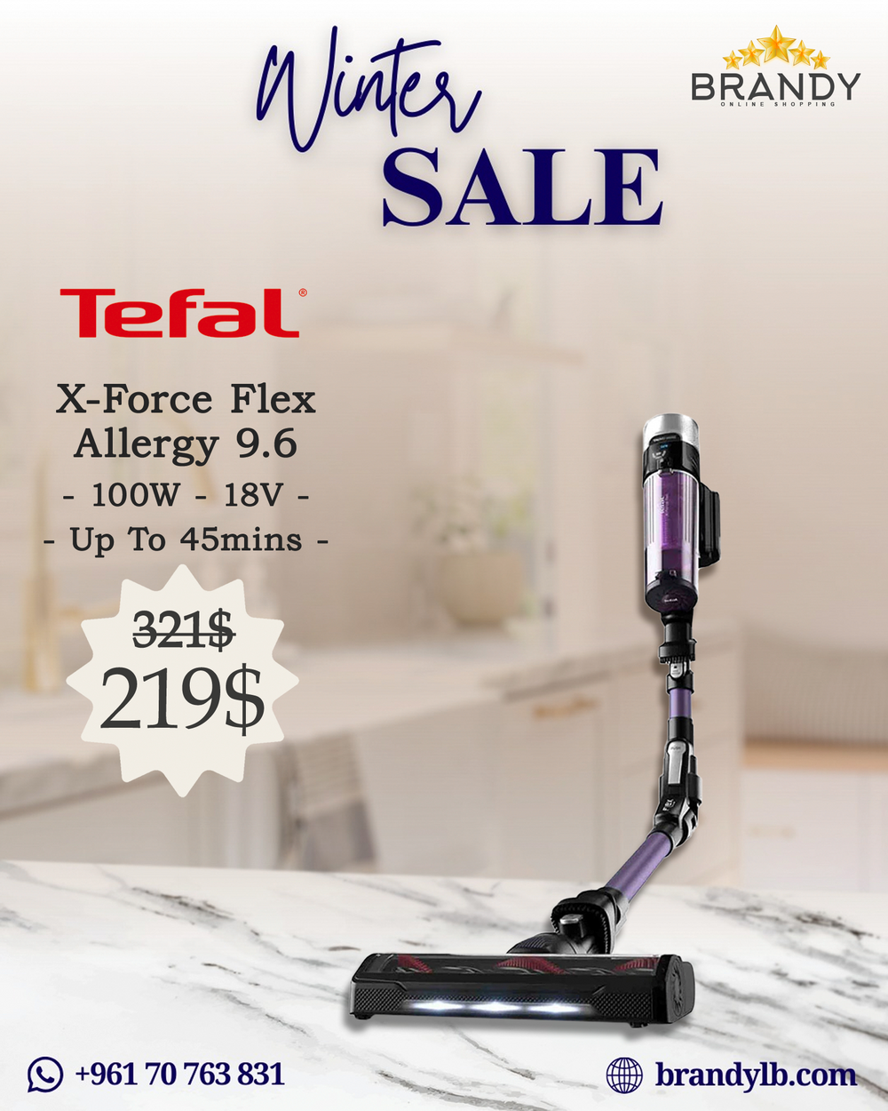 Cordless Stick Vacuum XForce Flex Allergy 9.6 TY2039