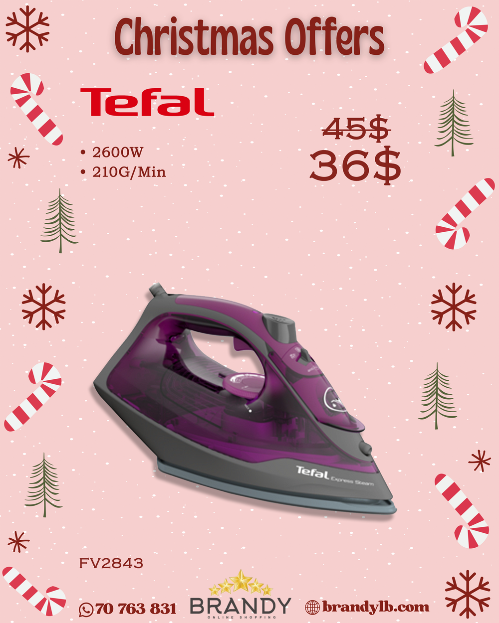 Express Steam Ceramic Steam Iron FV2843 Powerful 2600W Anti-Drip Large Tank