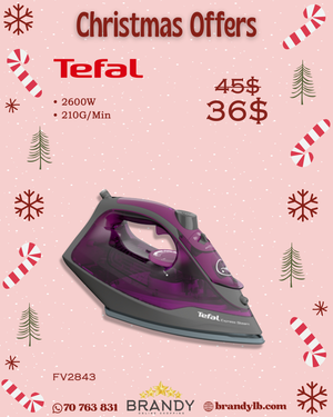 Express Steam Ceramic Steam Iron FV2843 Powerful 2600W Anti-Drip Large Tank