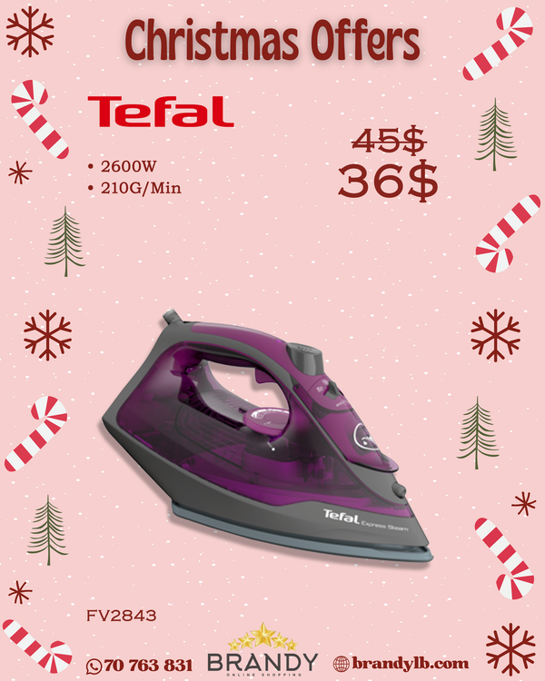 Express Steam Ceramic Steam Iron FV2843 Powerful 2600W Anti-Drip Large Tank