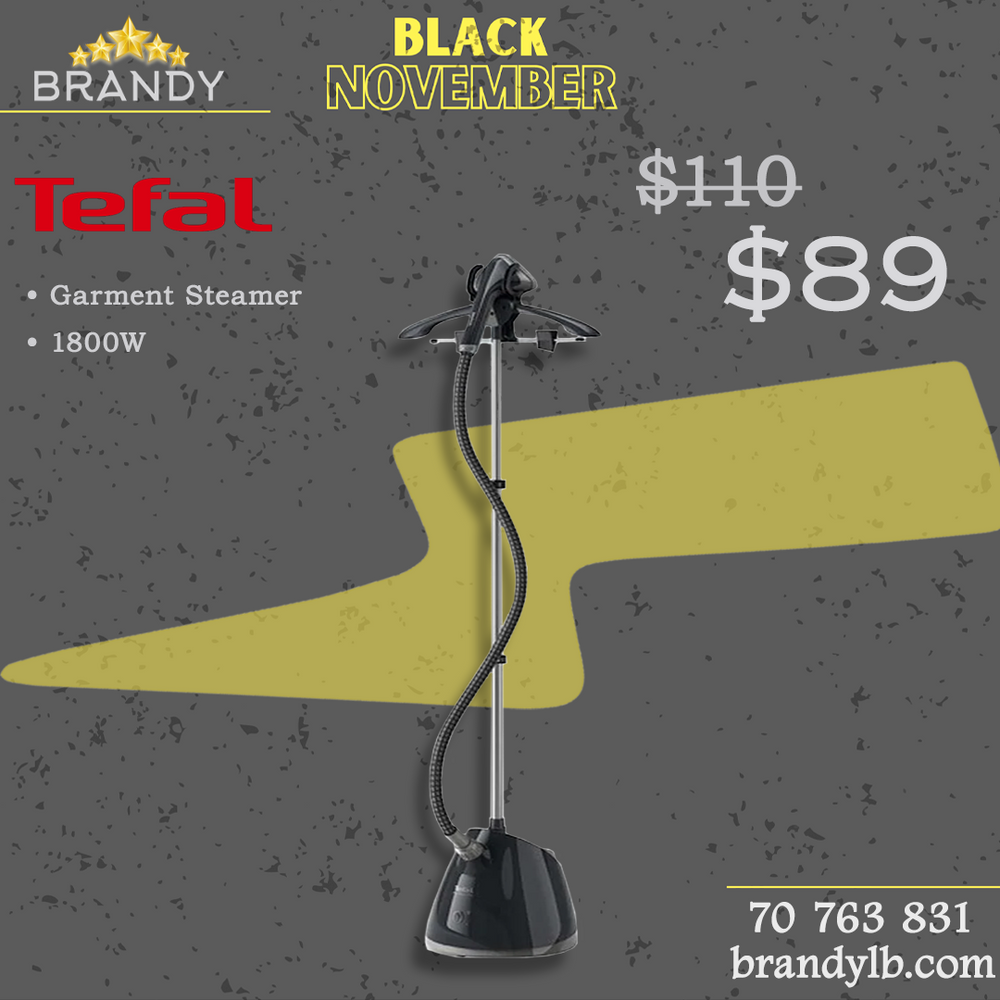 Pro Style Garment Steamer With Hanger IT2461