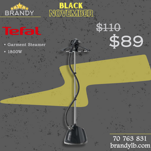 Pro Style Garment Steamer With Hanger IT2461