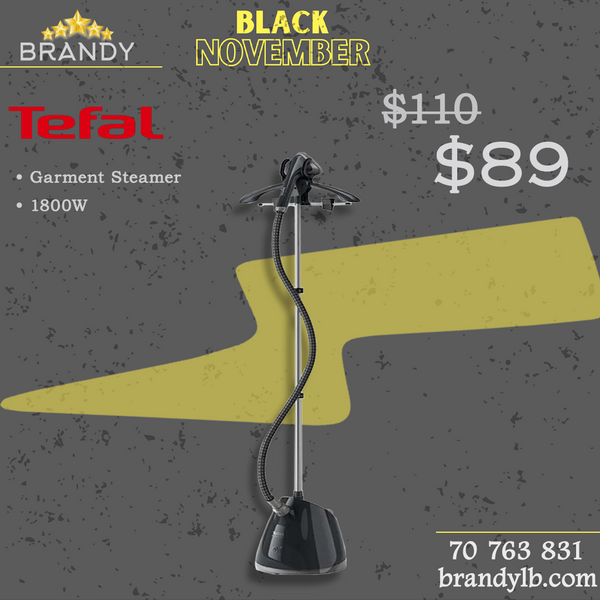 Pro Style Garment Steamer With Hanger IT2461