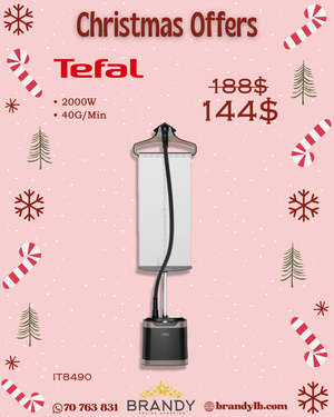 Pro Style Care Garment Steamer With Hanger IT8490