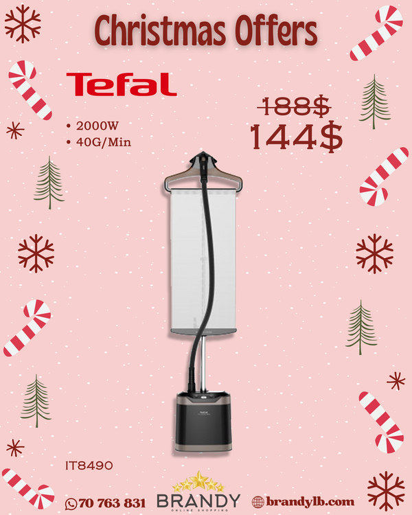 Pro Style Care Garment Steamer With Hanger IT8490