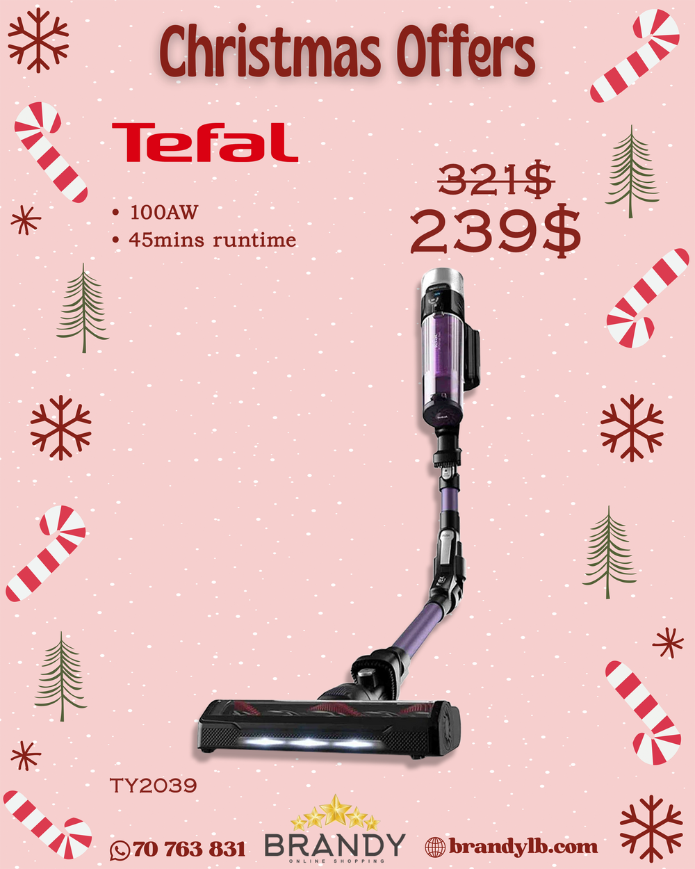 Cordless Stick Vacuum XForce Flex Allergy 9.6 TY2039