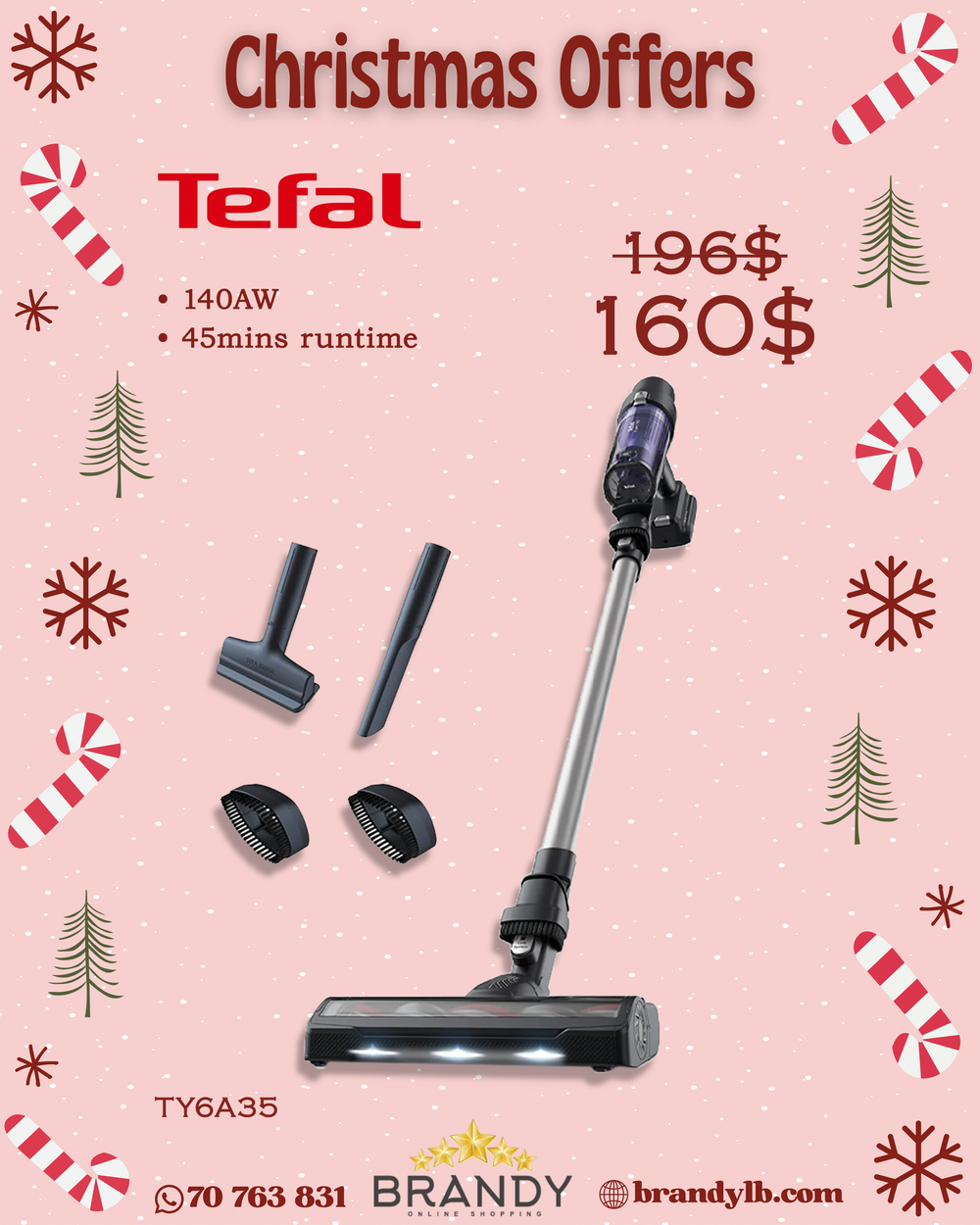 Cordless Stick Vacuum X-Pert 7.6 TY6A35