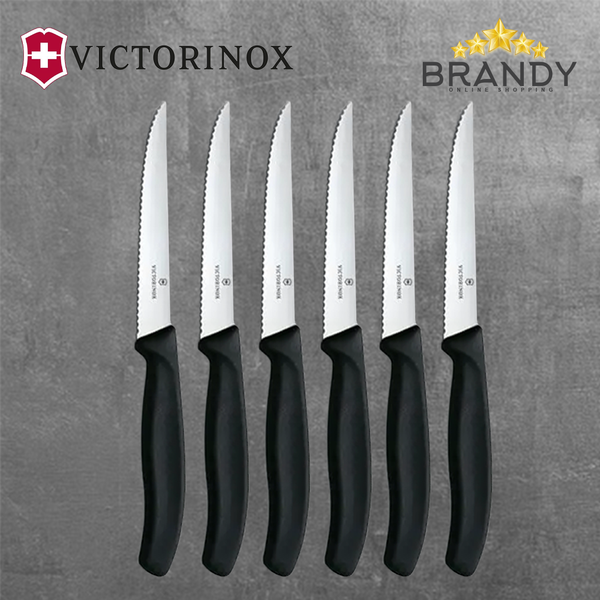 Steak Knives Set 6pcs with Stainless Steel Blades