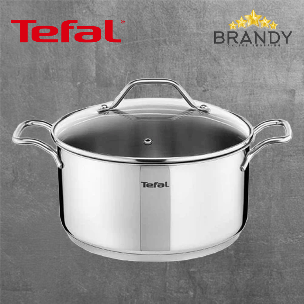 Intuition Stainless Steel Pot with Glass Lid