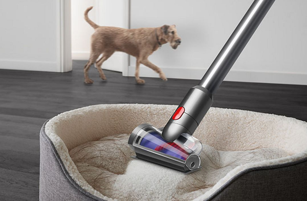 Cordless Stick Vacuum V15 Detect Absolute with LCD Screen