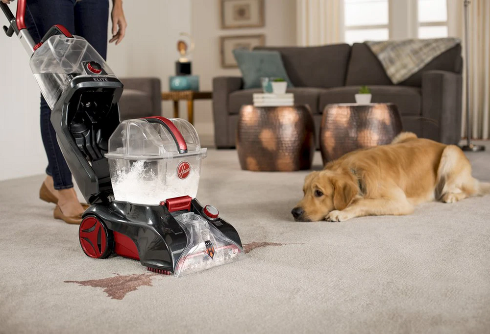 Power Scrub Elite Carpet & Floor Washer