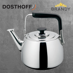 Stainless Steel Induction Kettle