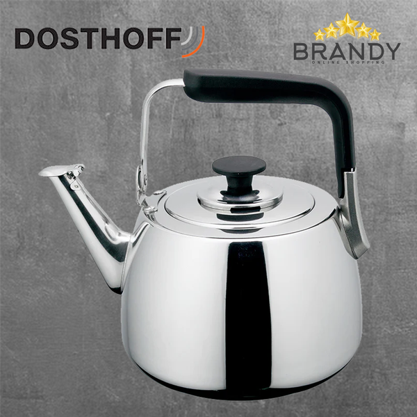 Stainless Steel Induction Kettle