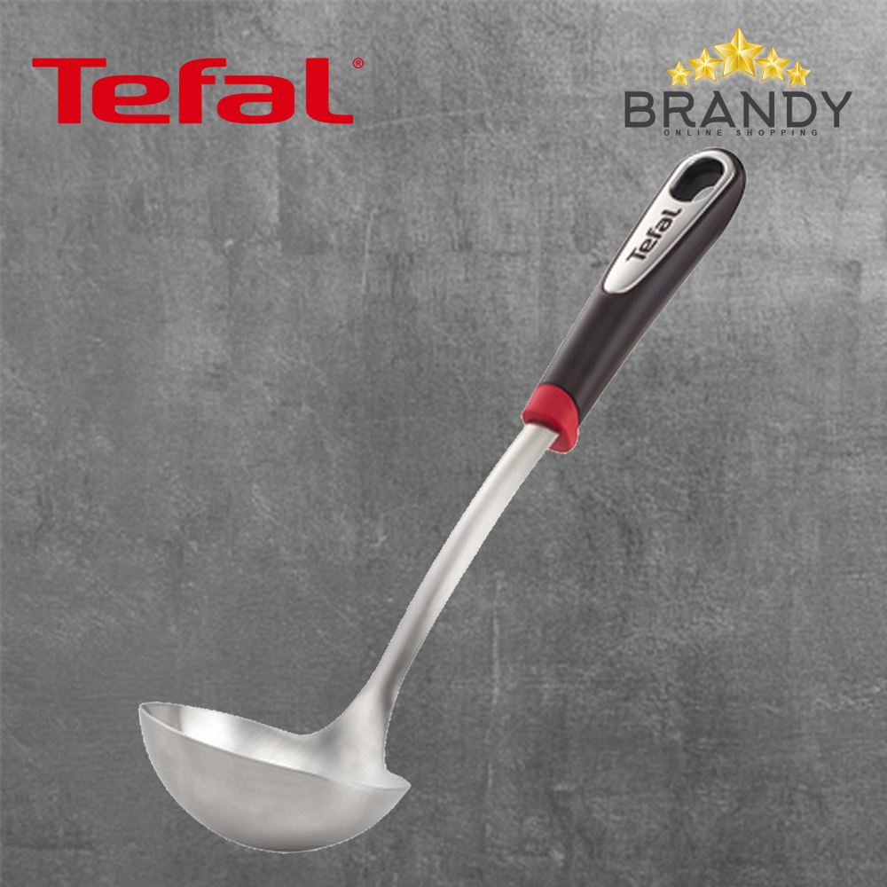 Ingenio Stainless Steel Ladle with Black Handle