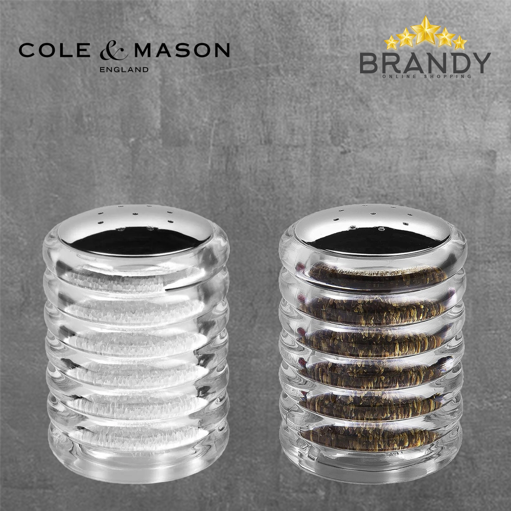 Beehive Salt & Pepper Shakers Set 2pcs Stainless Steel Acrylic Modern Kitchenware